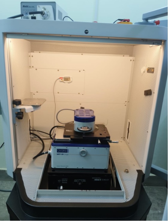 Atomic Force Microscopy