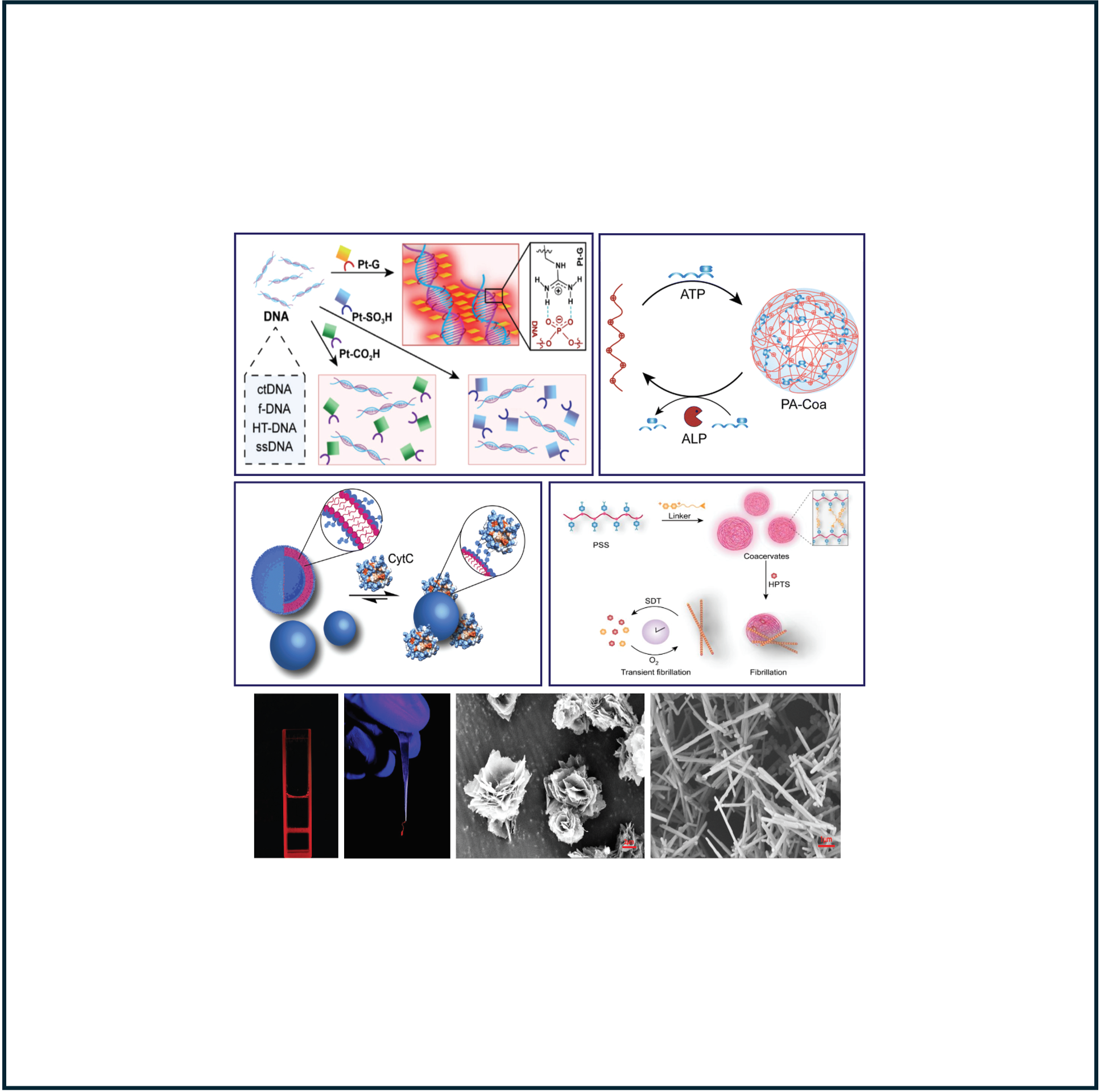 Stimuli-responsive bio-nanomaterials